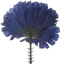 Anjerpick Koningsblauw, Royal Blue  / stuk 