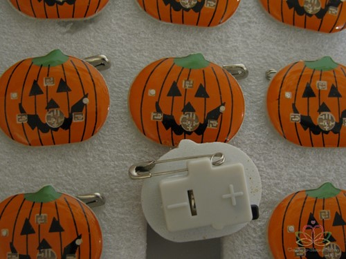 pompoenzaden broche LEDlichtje met corsagespeldje / stuk pompoenzadenjes met licht