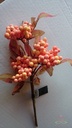 Berrypick Peach. Berry berries