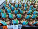 Blauwe druifjes Muscari Blue Magic met drie bolletjes in potmaat P5