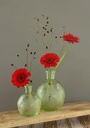 Gekleurd glazen flesje Bologna vaasje,kandelaar Soft groen  / stuk 12 cm hoog Ø 9.5cm