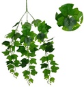 Hanger vuller Hedera groene bladeren Groene hangplanten