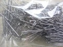 Krammen  ca. 100 gram diverse maten - 10-30 kleinverpakking