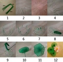 Nylon Geel-Bruin 2tonevoor het maken van bloemen, pakje van 5 