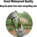 Graftingtape Parafilm Clear Transparant 30 mm / rol Ent tape Clear