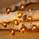 eikeltjes ledstring.webp