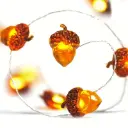 eikel led.webp