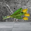 Tulp Tulpen Real Touch GEEL Bundel 5st Luxe Siliconen Latex