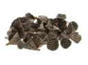Lotus Medium 3–5 cm zak ca. 50 stuks