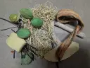 Exotic mix small LimeGroen