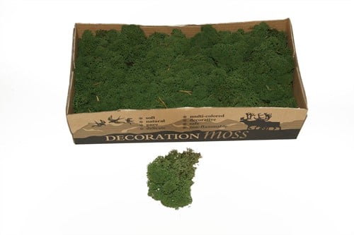 Rendiermos IJslandsmos Finlandsmos Mosgroen 2700–3000 gram