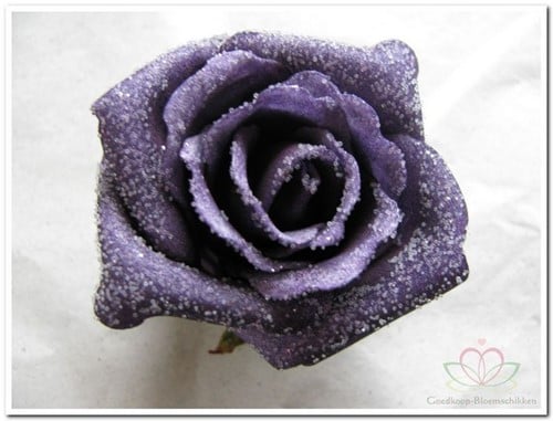 Foamroos Emilia Snow Purple 6 cm doos 42 stuks 