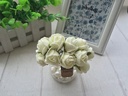 Mini Foam Roos Roomwit Offwhite 2,5 cm Zak 144 stuks