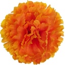 Anjerpick Oranje Zijdenbloem per stuk