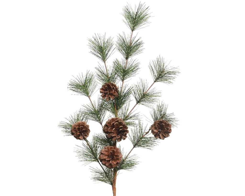Dennengroen kerstgroen met dennenappels 50 cm per tak