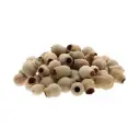 Eucalyptus Bells Zaaddozen Los 500 gram