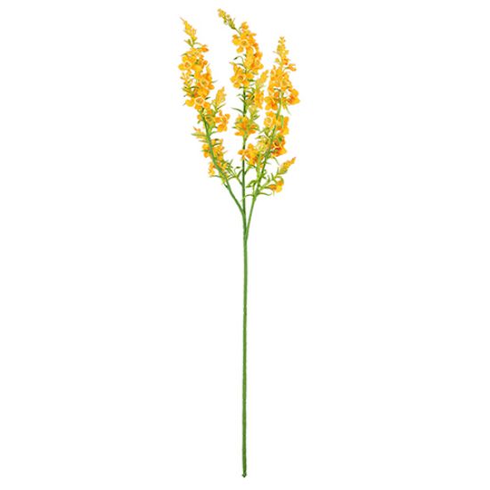 Chloe Kattenmunt Oranje Zijdenbloem 75 cm per stuk