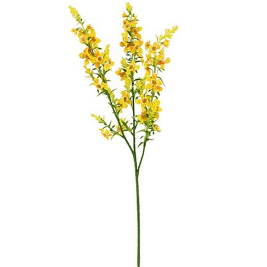 Kattenmunt Geel Zijdenbloem 75 cm per stuk