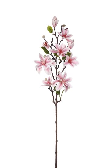 Magnolia tak Licht Roze Zijdenbloem 80 cm per stuk