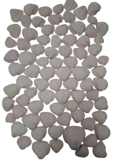 [A-013209] Chippy Pastel schelpen Pink washed 1 kilo