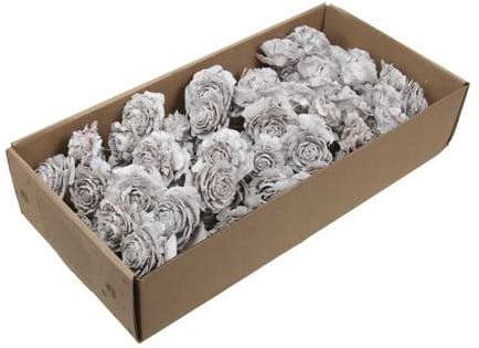 [A-008646] Cederroos op draad White wash ca. 50 stuks