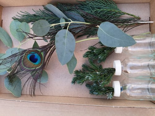 [A-019428] Glas 3 flesjes bloemen Gemengd Groen met Eucalyptus en 1 Pauwenveer in doosje