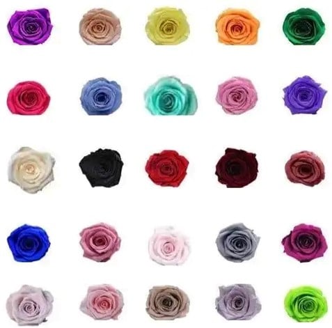 [A-017346] Geconserveerde rozen Geprepareerd Tiffany Blauwgroen doos 8 stuks