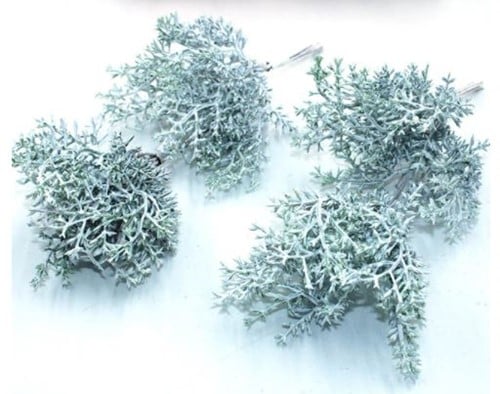 [A-022062] Corsage pick Stephanotus Wit bundel 6 stuks