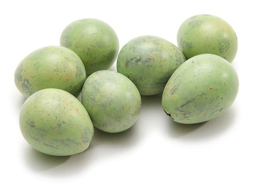 [A-027470] Kwarteleitjes Matcha Groen doos 60 stuks uitgeblazen voor decoratie