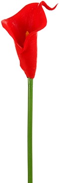 [A-014573] Calla Real Touch Rood 7 cm 33 cm lang per stuk