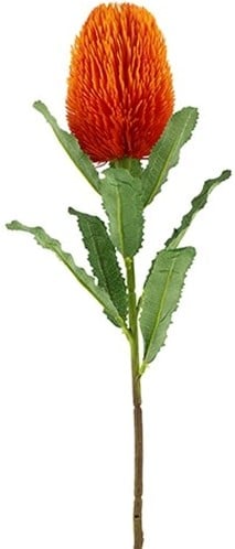 [A-024535] Zijden Bloem Large Banksia Orange Exotic 65 cm
