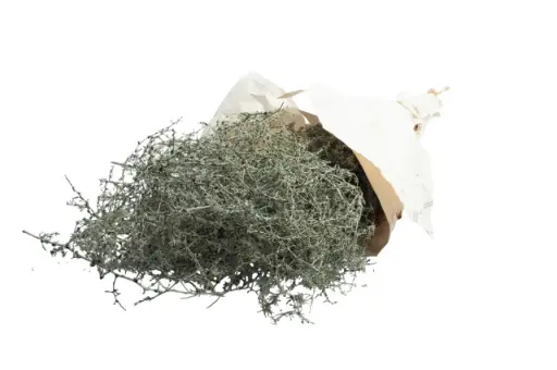 [A-027960] Wilde asparagus waxed green – decoratiegroen – ca. 700 gram