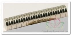 [A-028102] Corsagemagneet 50 sets (100 magneten) 2 mm