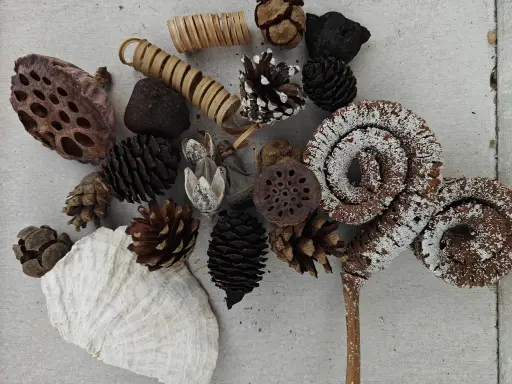 [A-028222] Gemengde gedroogde materialen Naturel en white +/- 20 stuks